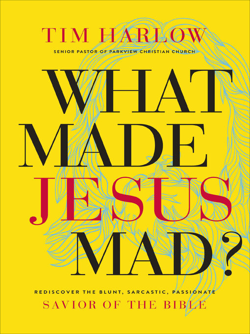 Title details for What Made Jesus Mad? by Tim Harlow - Available